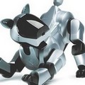 Аватар для RoboDOG